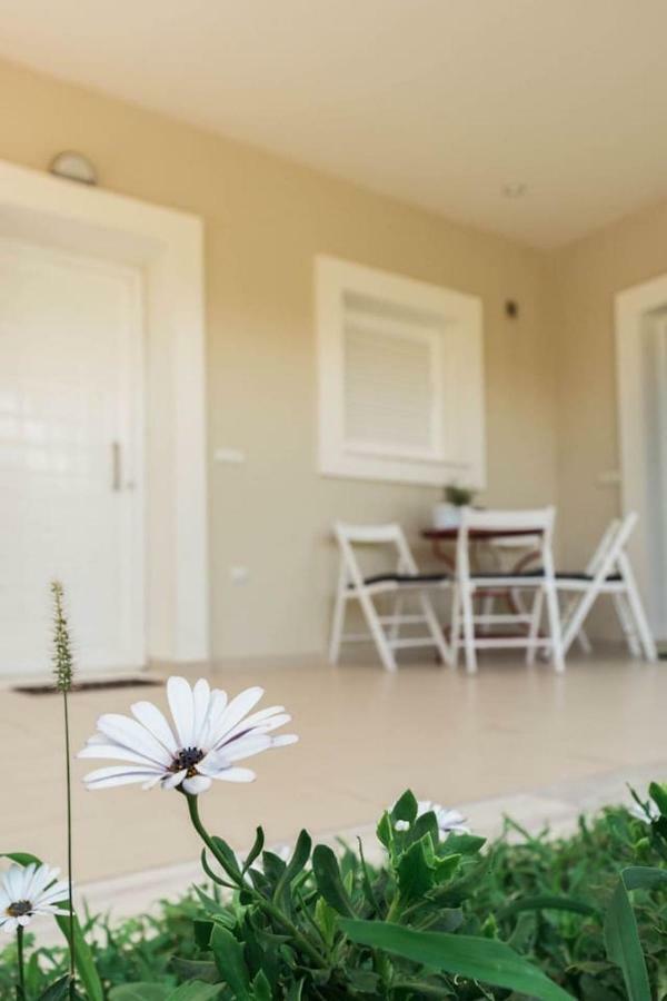 Sofia Apartment Kalamata Ngoại thất bức ảnh